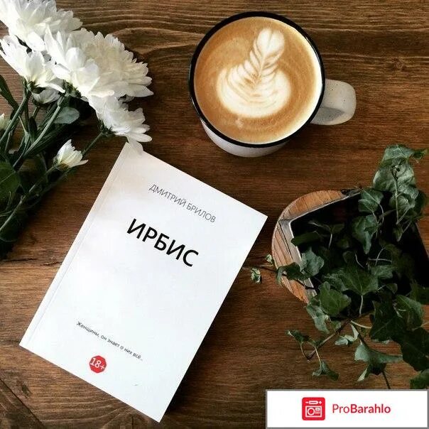 ирбис отзывы сотрудников