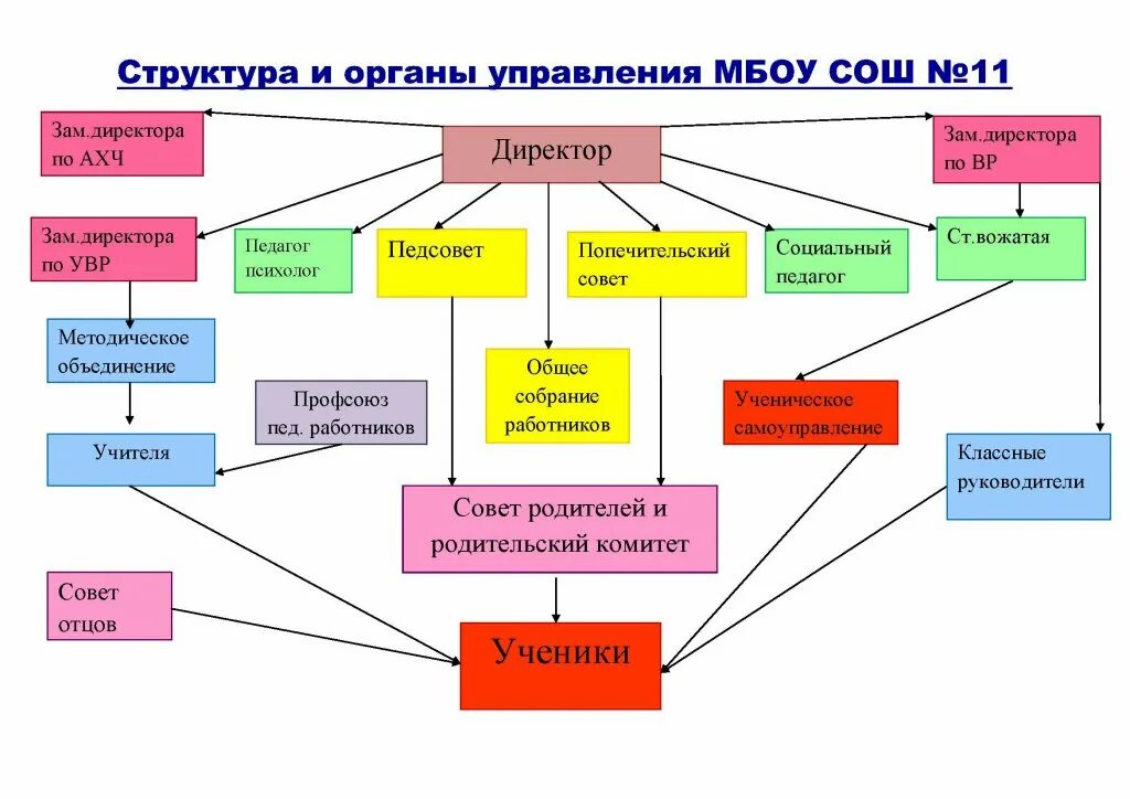 Заместитель директора государственного учреждения