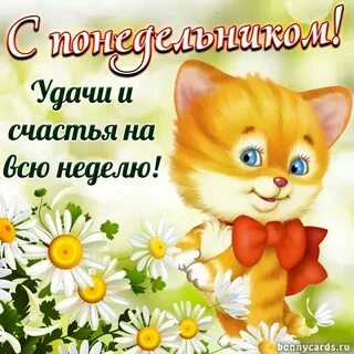 Любимый день недели понедельник
