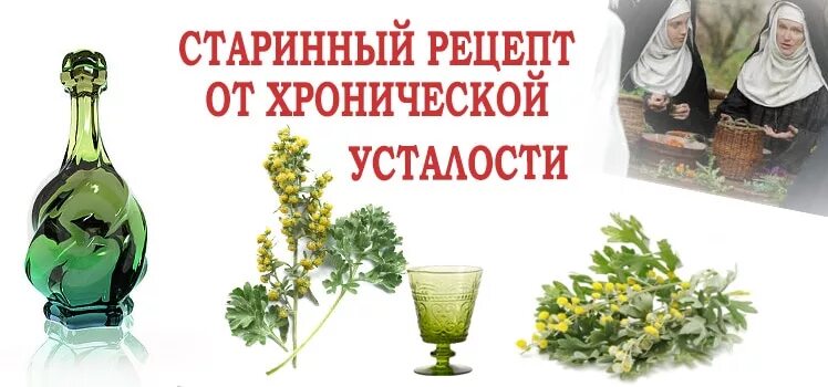 Вино с полынью 6 букв. Полынное вино. вино из полыни. вино из полыни название. напиток от хронической усталости.