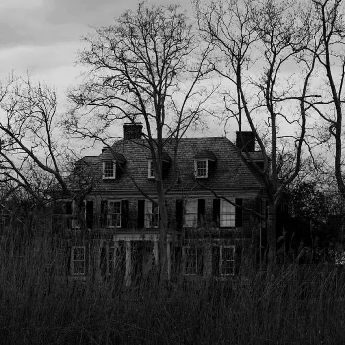 Готический викторианский особняк лесной. Заброшенный особняк джанхот. Дом с призраками в вомельсдорфе, пенсильвания. Дом с призраками в вомельсдорфе, пенсильвания. Старый дом.