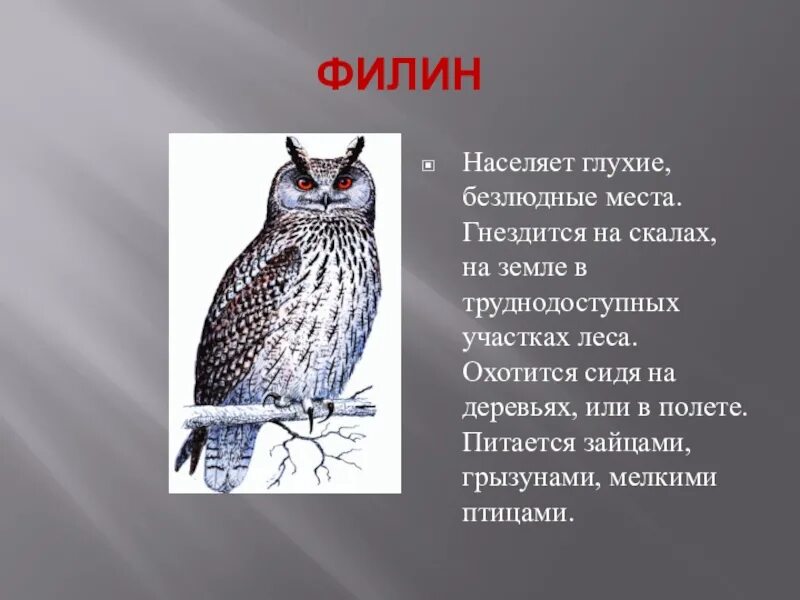 Названия птиц на башкирском языке. Птицы башкортостана на башкирском языке. птицы башкортостана с названиями. птицы башкортостана сообщение. птицы башкортостана презентация.