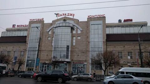 Кошки в парадизе тула