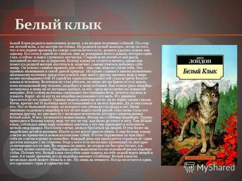 Краткое содержание джека лондона волк. Белый клык. Белый клык краткое содержание. Джек Лондон белый клык краткое содержание. Д.Лондон белый клык.