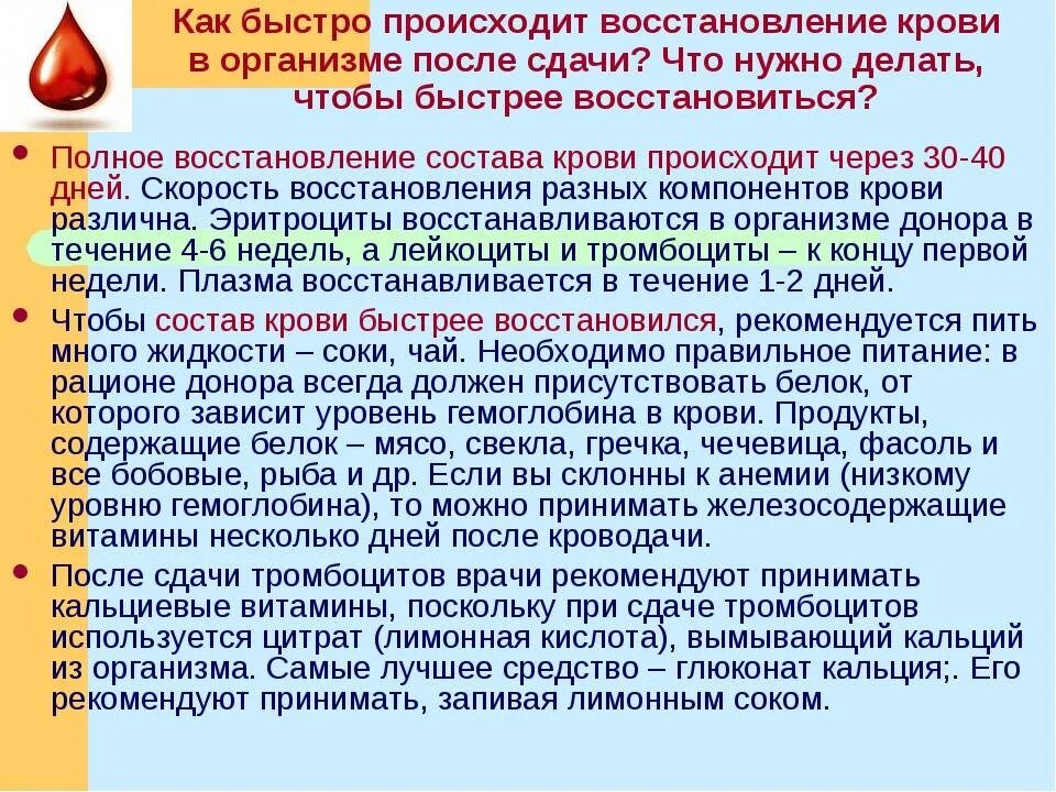 Как быстро восстанавливается кровь