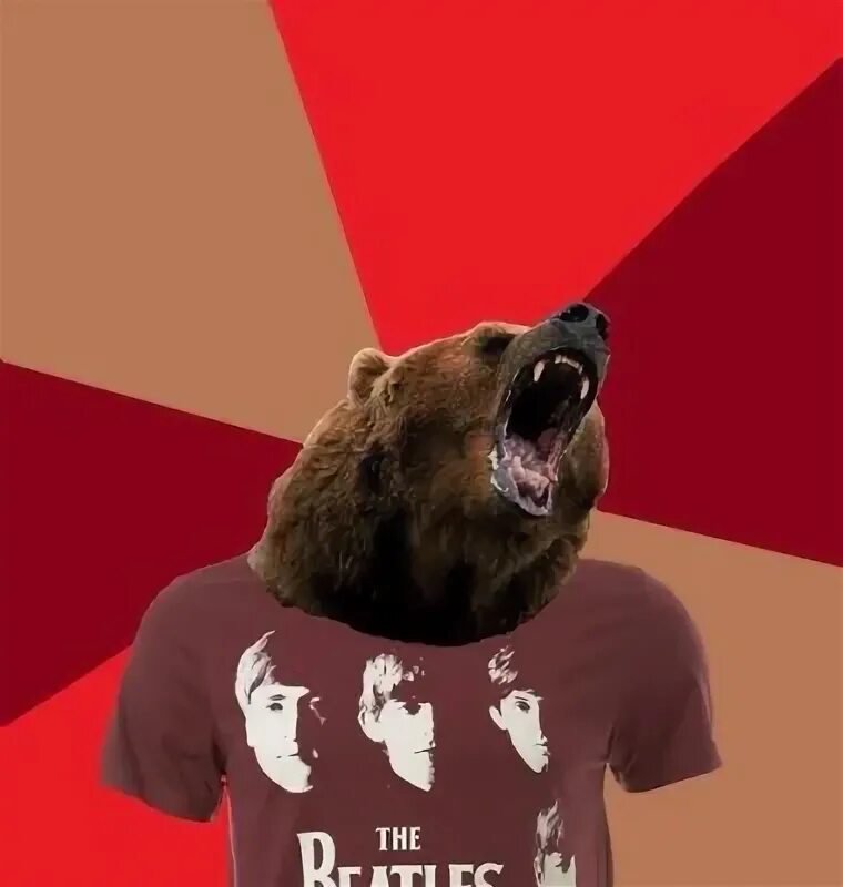 Медведь Мем. Русский медведь мемы. Медведь Гризли. Русский мишка Мем.