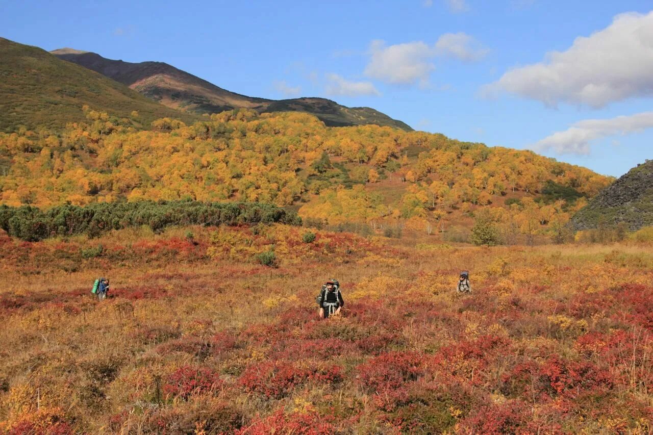 Огненная земля рельеф. Высота срединного хребта камчатки. Камчатка почва. Вулканические слоисто-охристые почвы камчатки. Камчатка почва.
