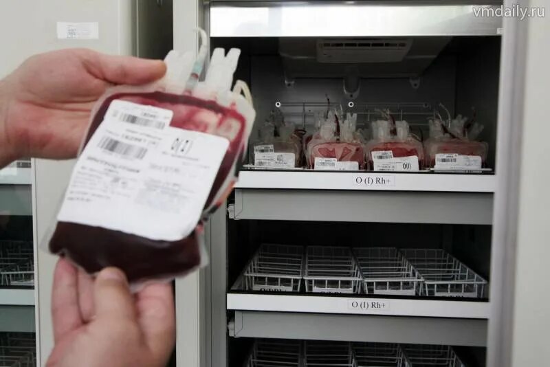 Сколько хранить кровь в холодильнике. Холодильник для хранения крови. Пакеты для хранения крови. Хранение плазмы крови. Хранение донорской крови.