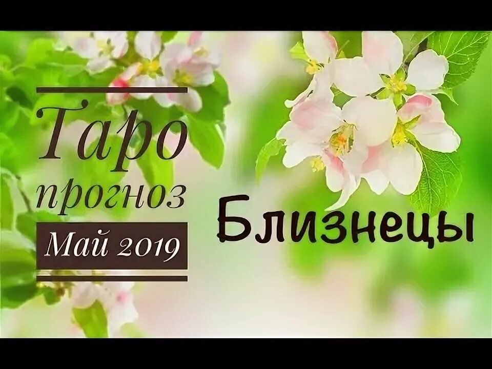 Стрелец прогноз на май. Стрелец прогноз на май