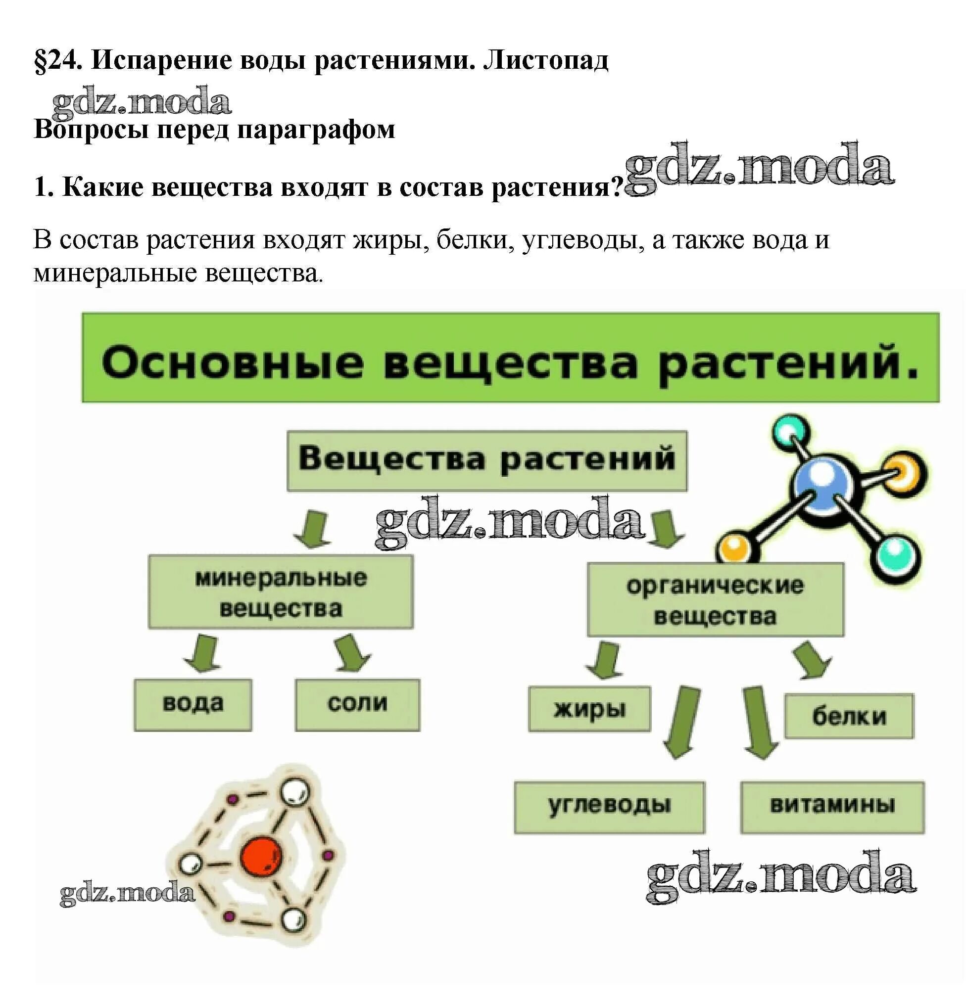 Органические вещества растений. Минеральные вещества для растений. Минеральные вещества и органические вещества. Основные вещества растений.