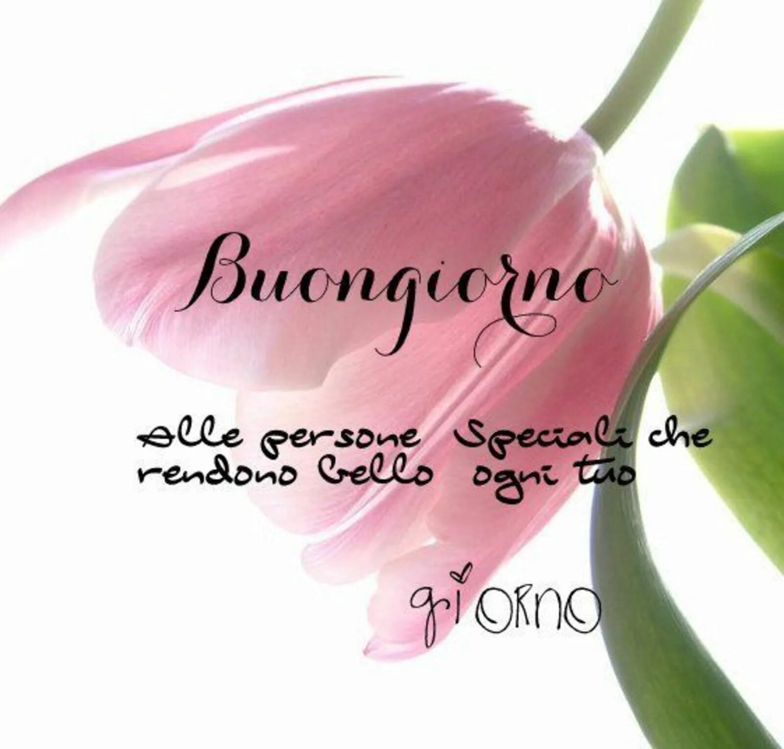 Ноты buongiorno a te. Te che