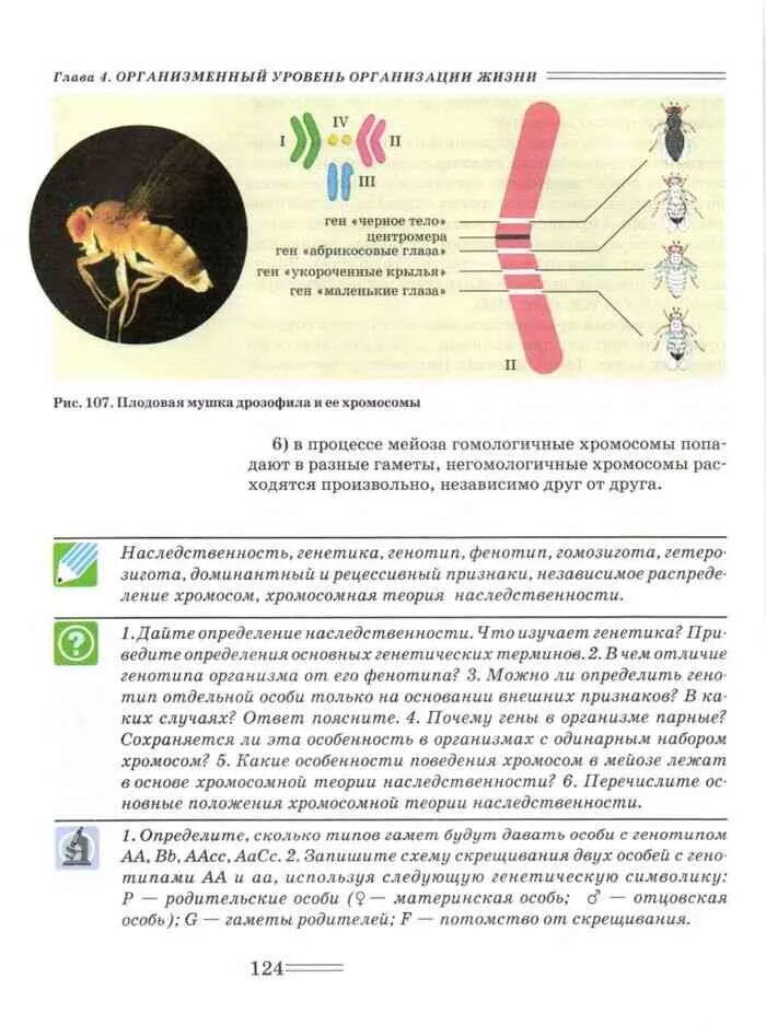 Петросов учебник. Учебник по биологии теремов петросова. теремов петросова биология 10 класс углубленный уровень. пособие по биологии 10 класс теремов. биология 10 класс учебник теремов петросова.