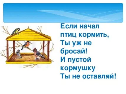 Жизнь пернатых начала замирать