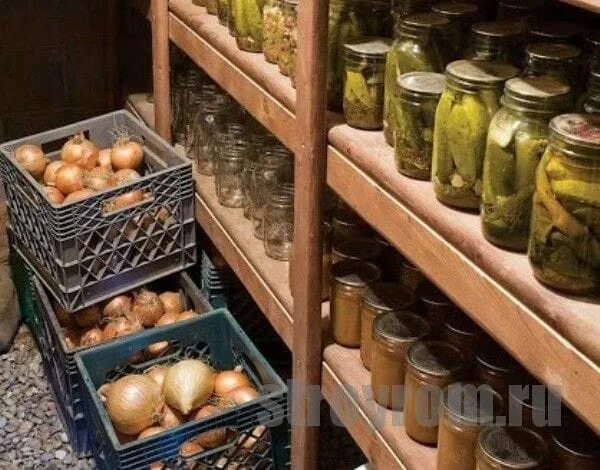 Дача хранение овощей. Ящики для хранения овощей в погребе. ящик для овощей в погреб. подвальчик для хранения овощей. стеллаж для картошки в погребе.