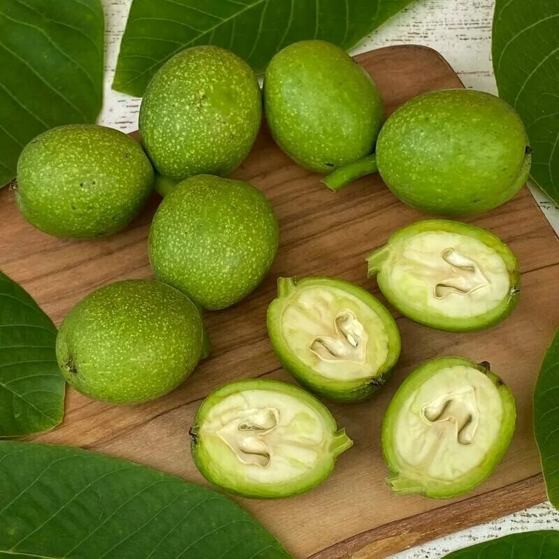 Не чпелый грецкий лрех. Грецкий орех зеленый. Плоды грецкого ореха зеленые. Маньчжурский орех плоды зеленые.