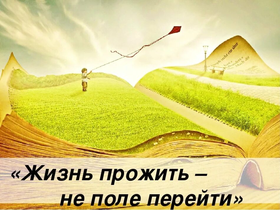 Проходить поле. Жизнь прожить не поле перейти. пословица жизнь прожить не поле. жизнь прожить не поле перейти смысл пословицы. жизнь прожить не поле перейти картинки.