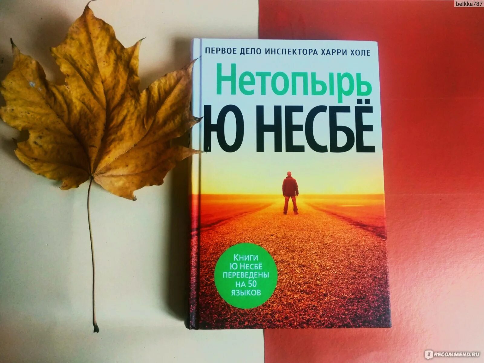 Нетопырь книга Несбе. Книга нетопырь (несбё ю). Полет летучей мыши Несбе. Нетопырь ю несбё книга обложка. Несбе холе