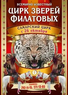 Омский цирк расписание