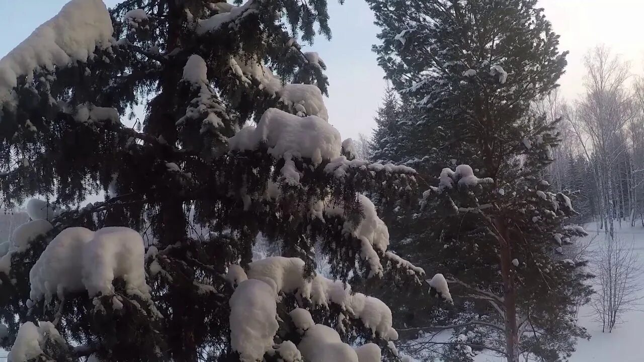 Сиберия видео. Сиберия Тайга. Сибирь зима -50. Taiga Siberia видео. Зима Сибирь 90-х годов.