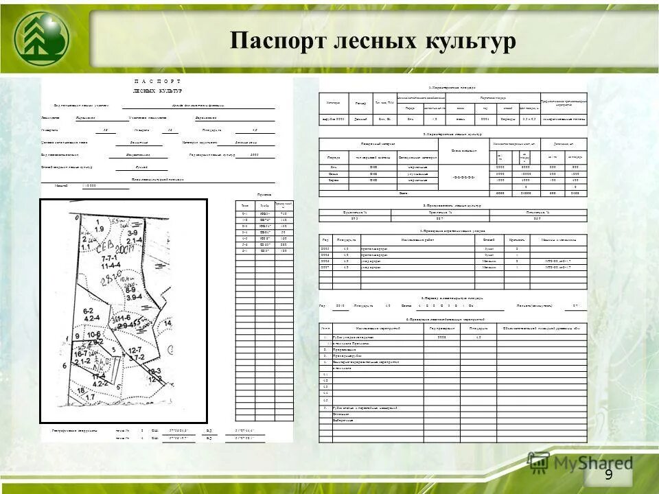 Проект лесного участка образец Проект освоения лесов разработка и экспертиза проекта