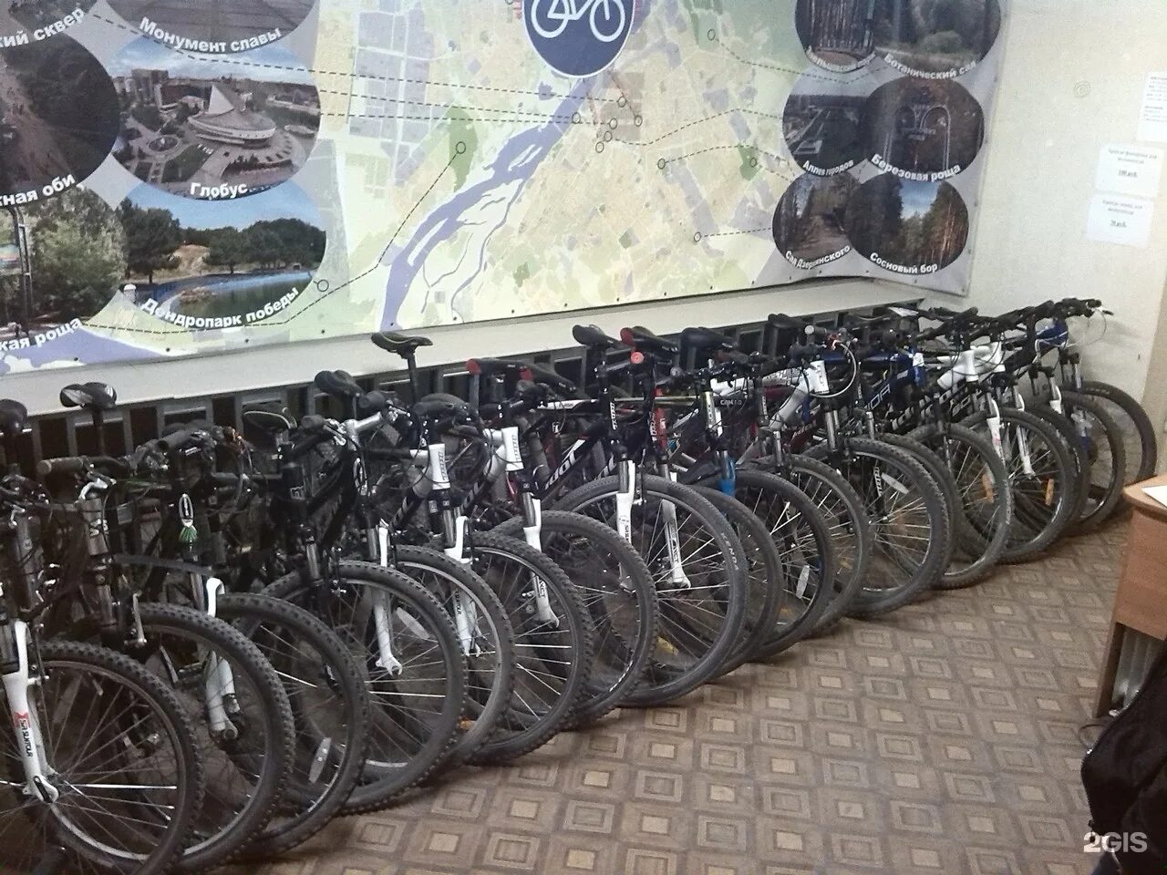 веломарка магазин велосипедов спб фото магазинов. ремонт самокатов в приморском районе. байк новосибирск. веломагазины г вихоревка. мотосалон major moto.