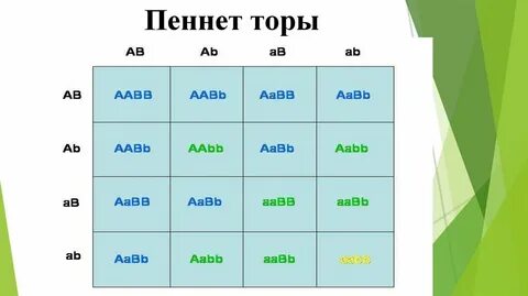 Ауыл қыздары онлайн порно