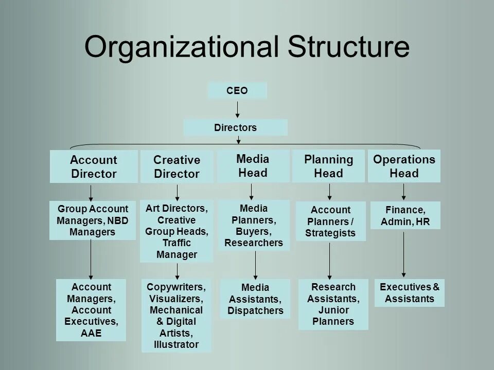 Account group. Group account Director кто это. Head или Director различия в иерархии. Organization structure Dior Creative Director. Contractual relations.
