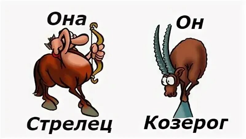 Стрелец и Козерог. Мужчина Козерог. Приколы про Козерогов. Козерог картинки прикольные. Брак стрелец козерог