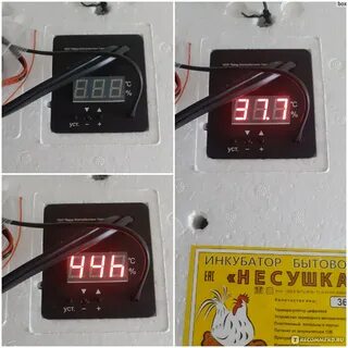 Автоматический терморегулятор несушки