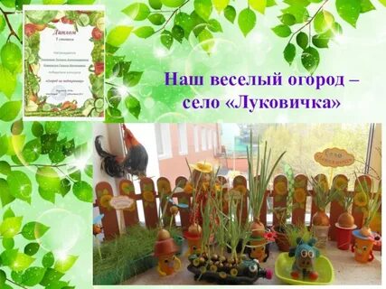 Наш огород