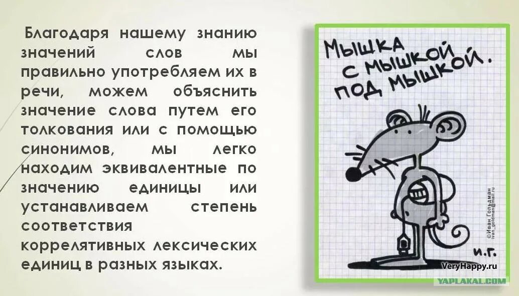 Значение слова познание. Неправильное значение слова это. Сокращай свою речь до смысла картинки. Сокращайте речь до смысла. Значение слова знание.