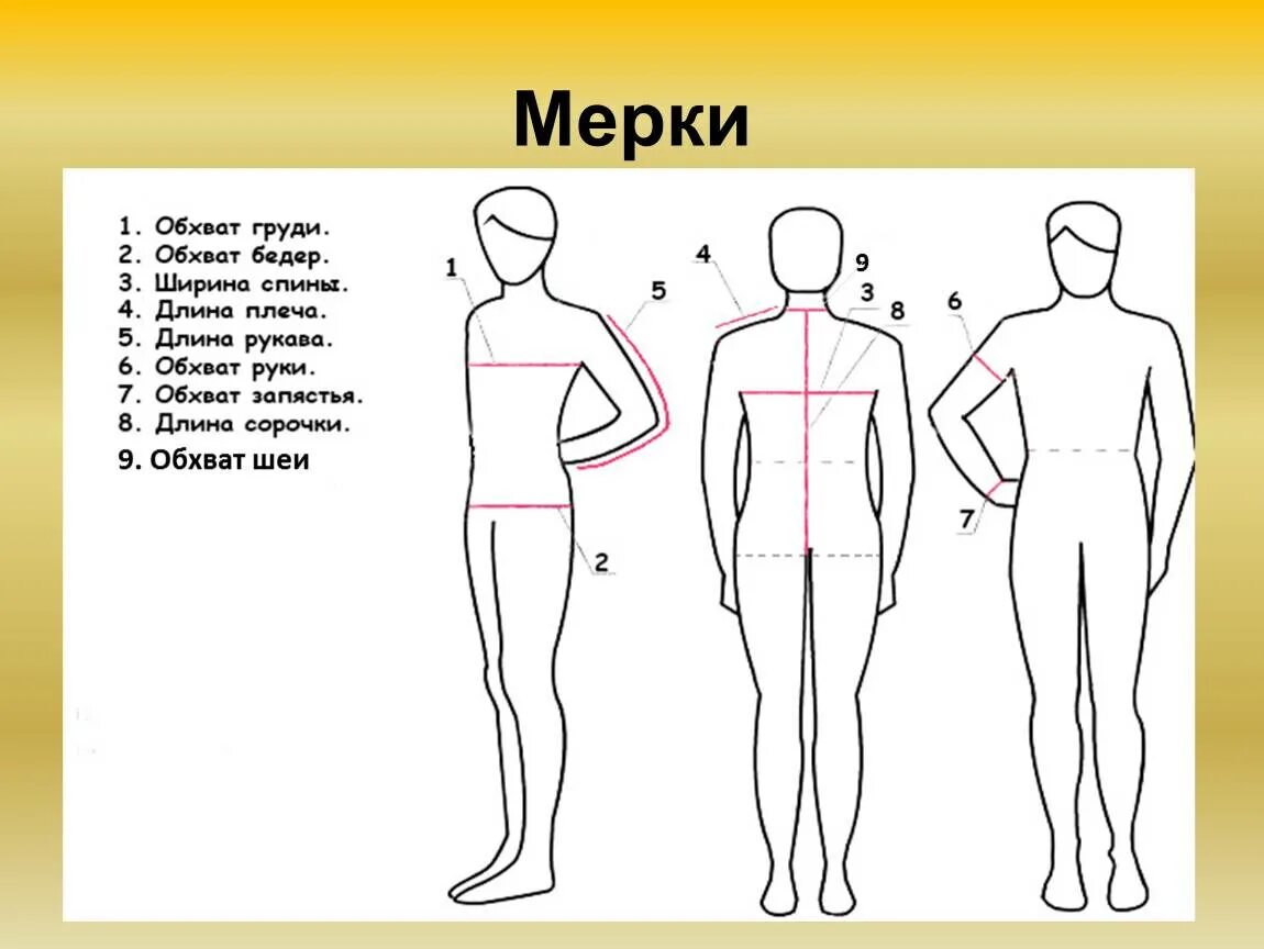 Как называется размер тела