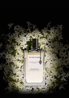 Продать van cleef arpels