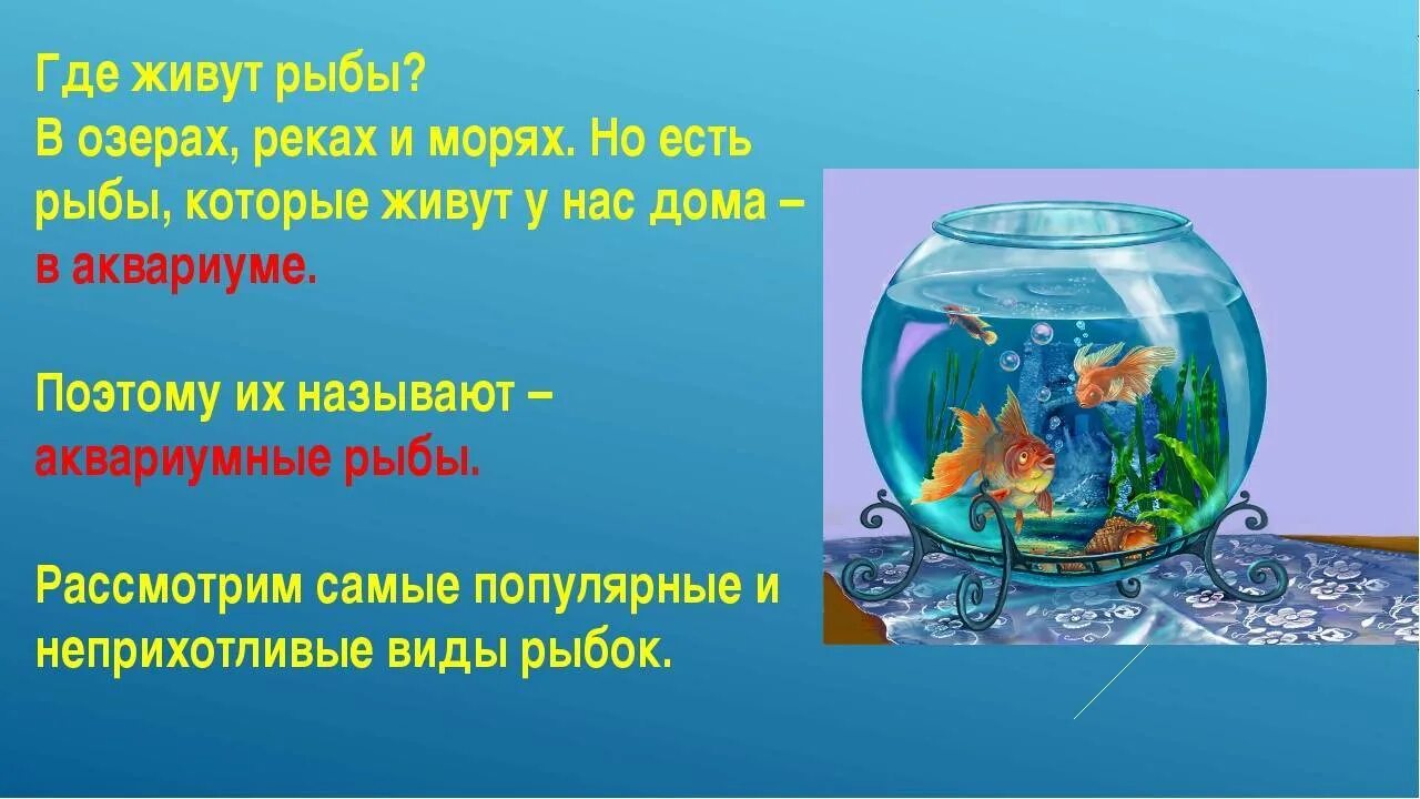 Аквариум для дошкольников. Тема аквариум. Аквариум для презентации. Аквариум 220. Проект аквариум.