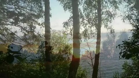 За тихой рекою в березовой роще автор