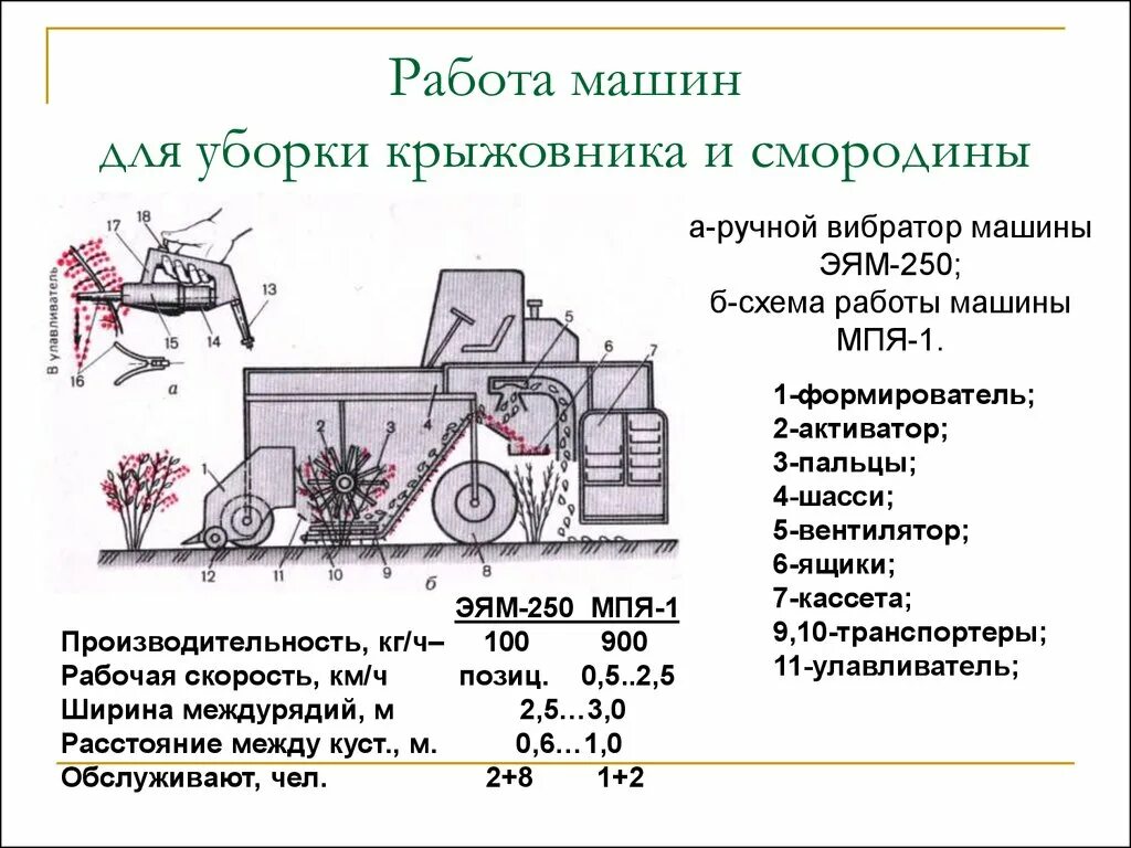 Комбайн ягодоуборочный МПЯ-1а. Схема комбайна для уборки малины. Чесноко уборочный комбайн чертеж. Схема работы машины. Правила работы на машинке