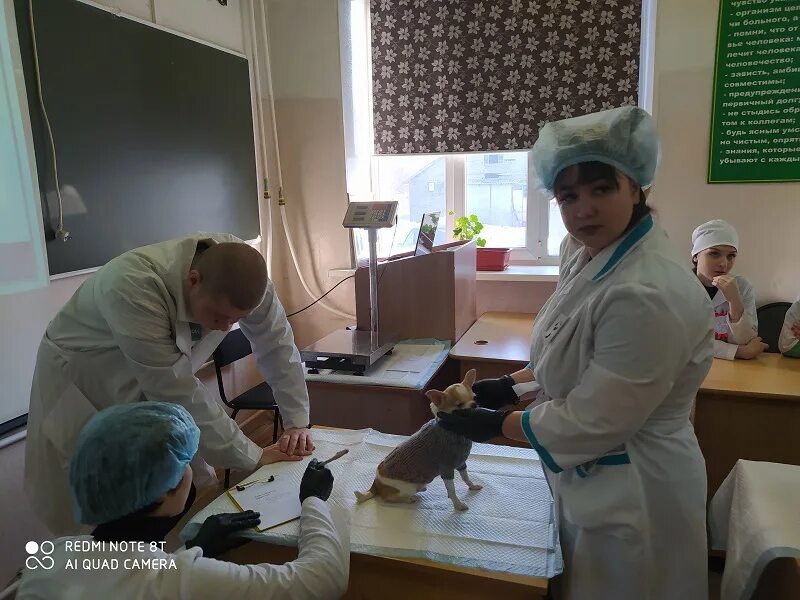 Орловский ветеринарный техникум. Дуванский ветеринарный колледж. Демонстрационный экзамен 2023. Ветеринарный колледж иваново. Ветеринарный колледж иваново.