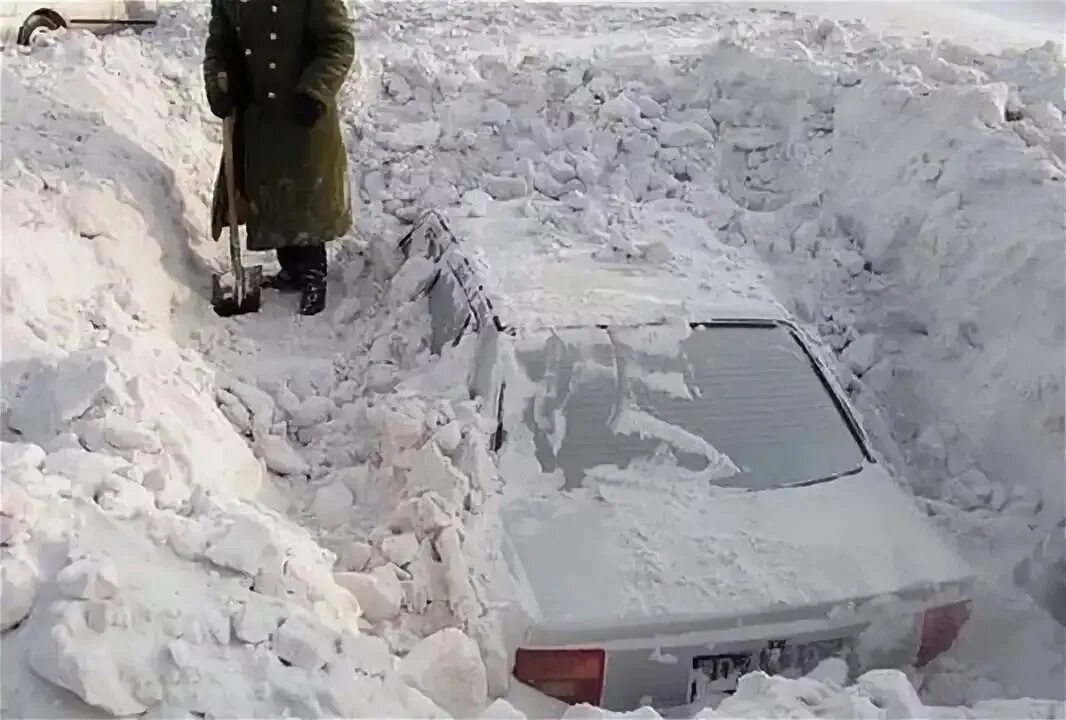 Откопала или откапала. Машина завалена снегом. Машину засыпало снегом. Откапывает машину из снега. Закопанная машина в снегу.