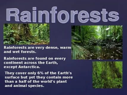 Word forest