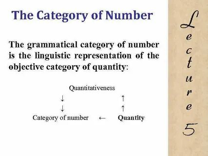 The categories of number