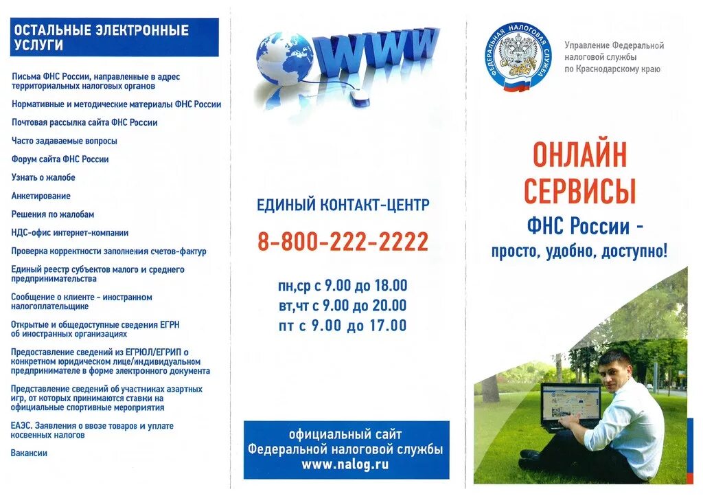 Общедоступные сведения фнс. Общедоступные сведения фнс