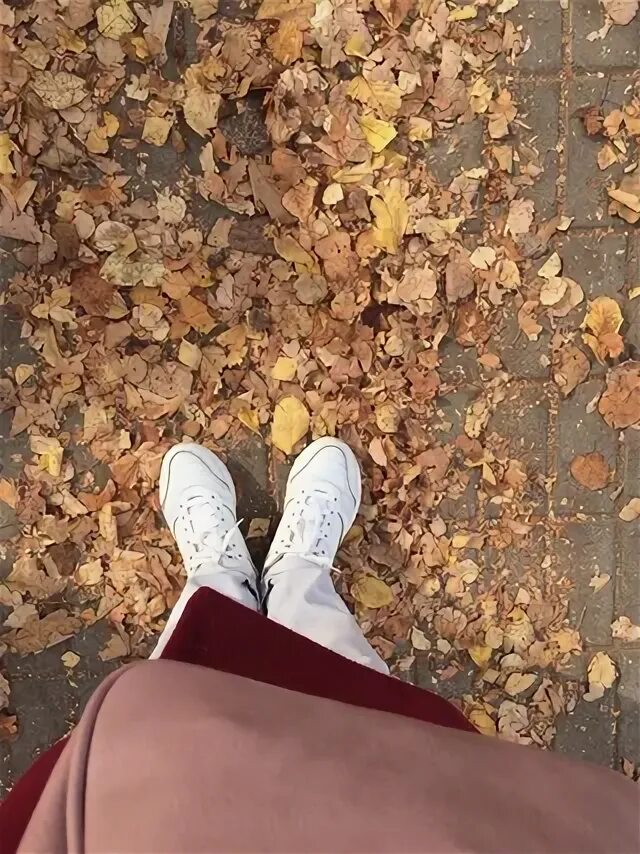 Подслушано мышкин 2. Подслушано. Подслушано мышкин. Подслушано мышкин. Мышиные палаты в мышкине.