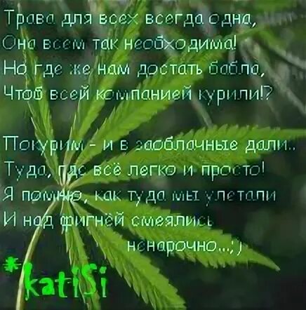 Зеленая трава текст