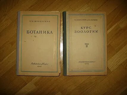 Курс зоологии