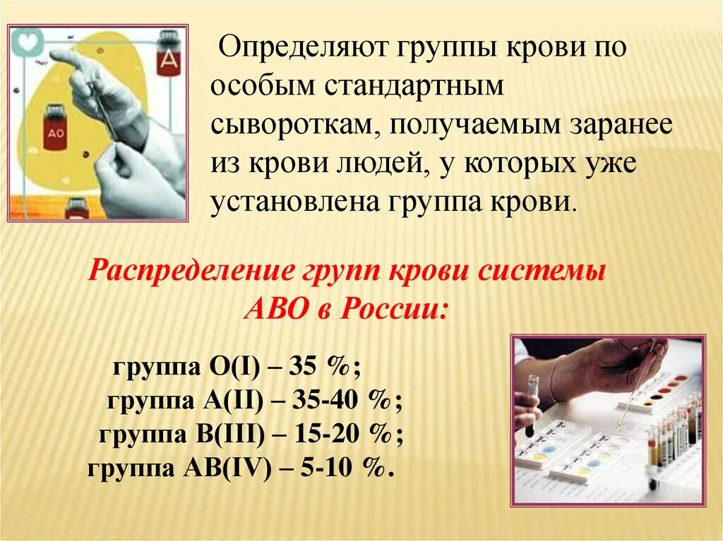 Что такое тканевая совместимость. Тканевая совместимость и переливание групп крови. тканевая совместимость и переливание крови. презентация группы крови переливание крови биология 8 класс. группы крови 8 класс.