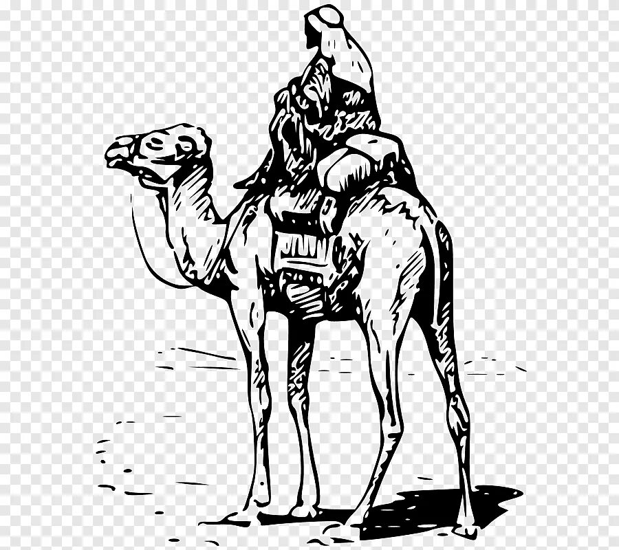 Караван график. Верблюд Караван шелковый путь вектор. Верблюд Караван шелковый путь. Верблюд шелковый путь вектор. Верблюд в пустыне.