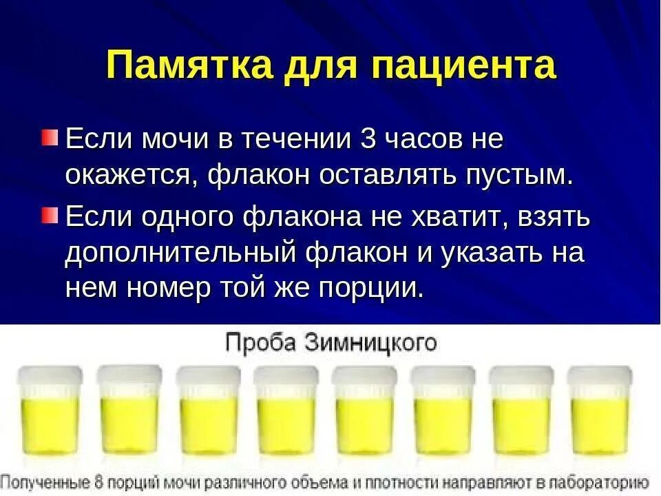 Сбор по зимницкому алгоритм. Памятка по сбору анализа мочи по зимницкому. проба мочи по зимницкому методика исследования. моча по зимницкому метод исследования. лабораторные методы исследования мочи по зимницкому.