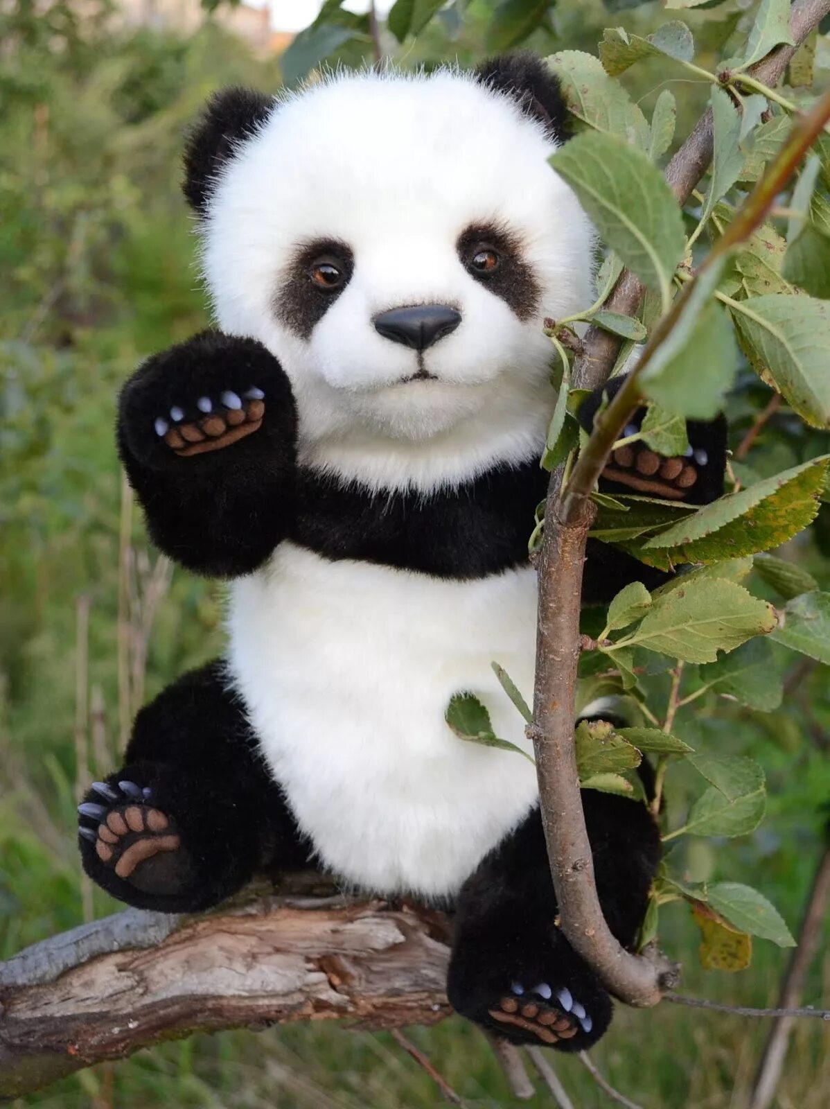 Pandas размер. Мягкая игрушка панда 45см. Pandas размер. Panda statue. Pandas размер.