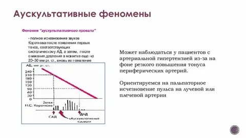 Аускультативный метод давления