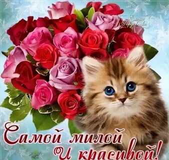 Прекрасный и классный красивый
